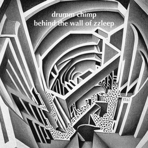 Behind The Wall Of Zzleep