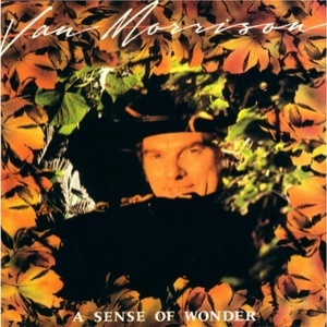 A Sense Of Wonder