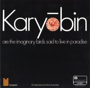 Karyobin