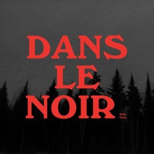 Dans le noir