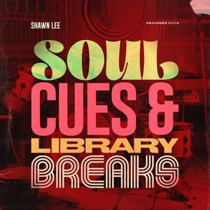 Soul Cues & Library Breaks