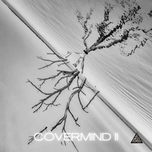 COVERMIND II