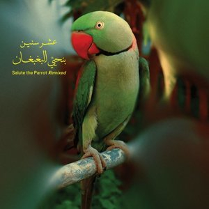 Benhayyi Al-Baghbaghan (Salute the Parrot Remixed)
