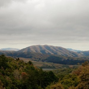 Mount Wittenberg Orca