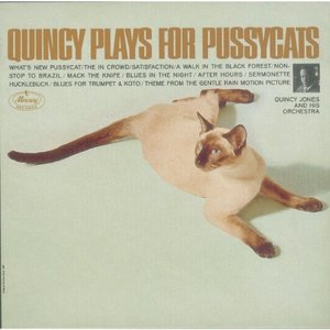 Quincy Plays For Pussycats