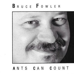 Ants Can Count