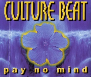 Pay No Mind