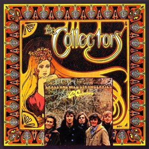The Collectors + Grass And Wild Strawberries