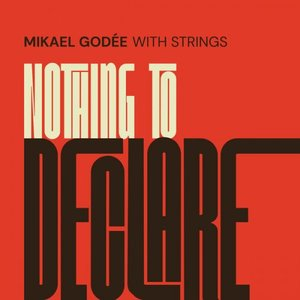 Nothing to Declare