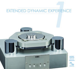 Extended Dynamic Experience 1