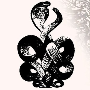 Bardo Pond, Vol. 4