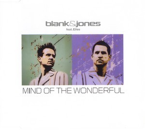 Mind Of The Wonderful [CDM]