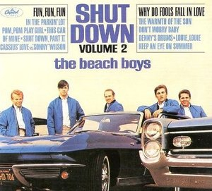 Shut Down Vol. 2