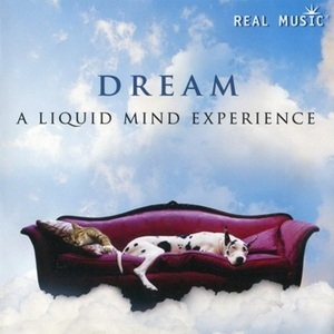 Dream: A Liquid Mind Experience