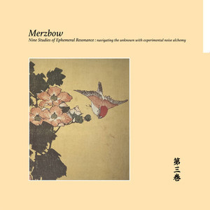 Nine Studies Of Ephemeral Resonance Volume 3