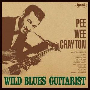 Wild Blues Guitarist