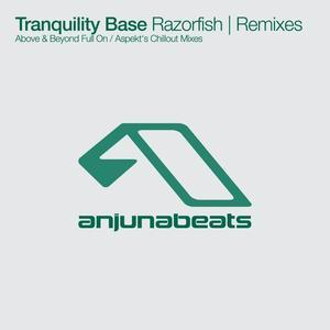 Razorfish (Remixes) (ANJ007) [WEB]