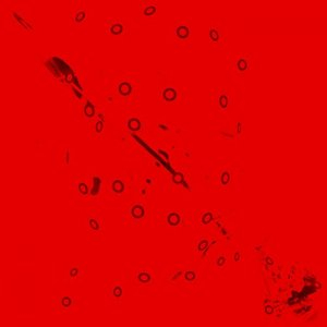Syncleft Chronem