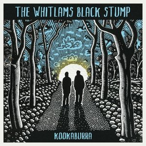 Kookaburra