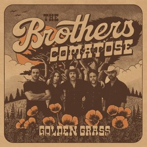 Golden Grass