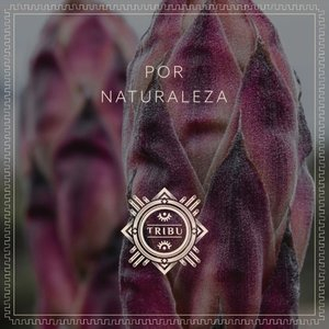 Por Naturaleza