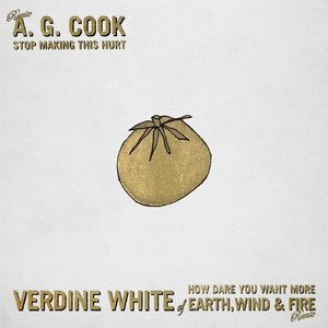 Stop Making This Hurt (A. G. Cook Remix) / How Dare You Want More (Verdine White of Earth, Wind & Fire Remix)