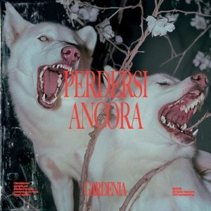 Perdersi ancora