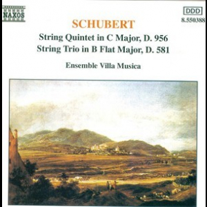 String Quintet & Trio