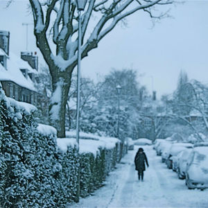 Thief of Snow