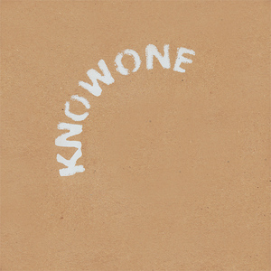 Knowone LP001