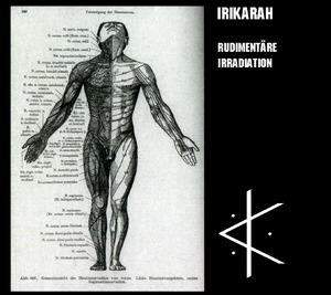 Rudimentäre Irradiation