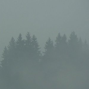 Donnerwetter