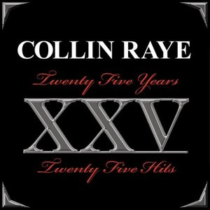 Twenty Five Years - Twenty Five Hits
