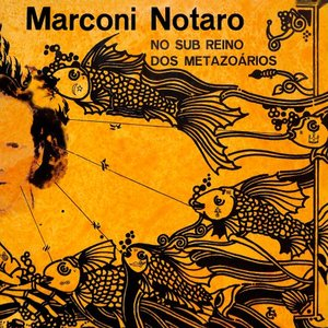 No Sub Reino dos Metazoarios