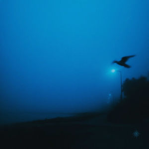 Gliding