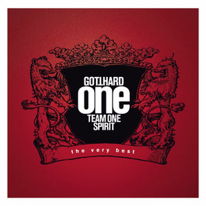 One Team One Spirit