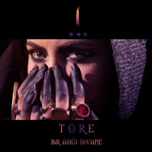 Bir Asigi Divane
