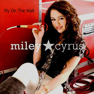 Fly On The Wall [CDS]