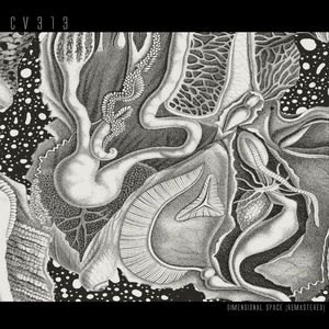 Dimensional Space