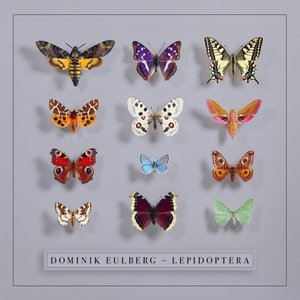 Lepidoptera