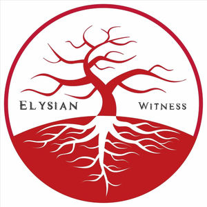 Witness