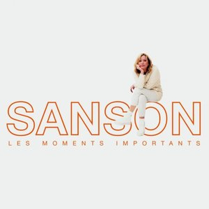 Les moments importants: Best of Veronique Sanson