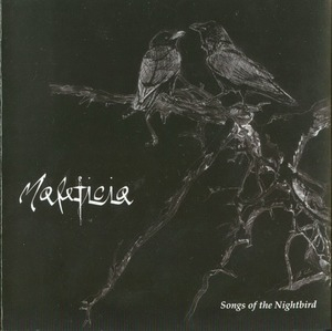Songs Of The Nightbird