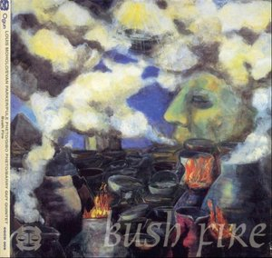 Bush Fire