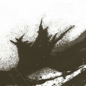 DIYSRL RMXS
