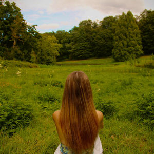 Dreamer's fall