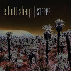 Steppe