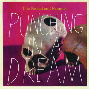 Punching In A Dream