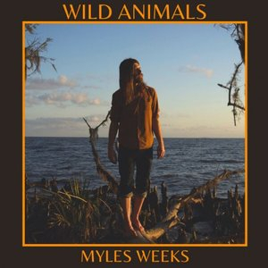 Wild Animals