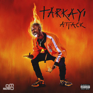TARKAYI